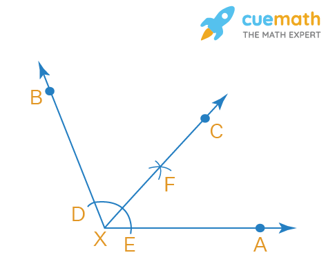 Draw an angle of 110° with the help of a protractor and bisect it. Measure each angle