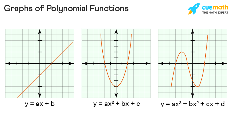 Linear Polynomial