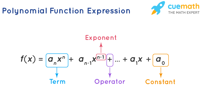 Polynomial function