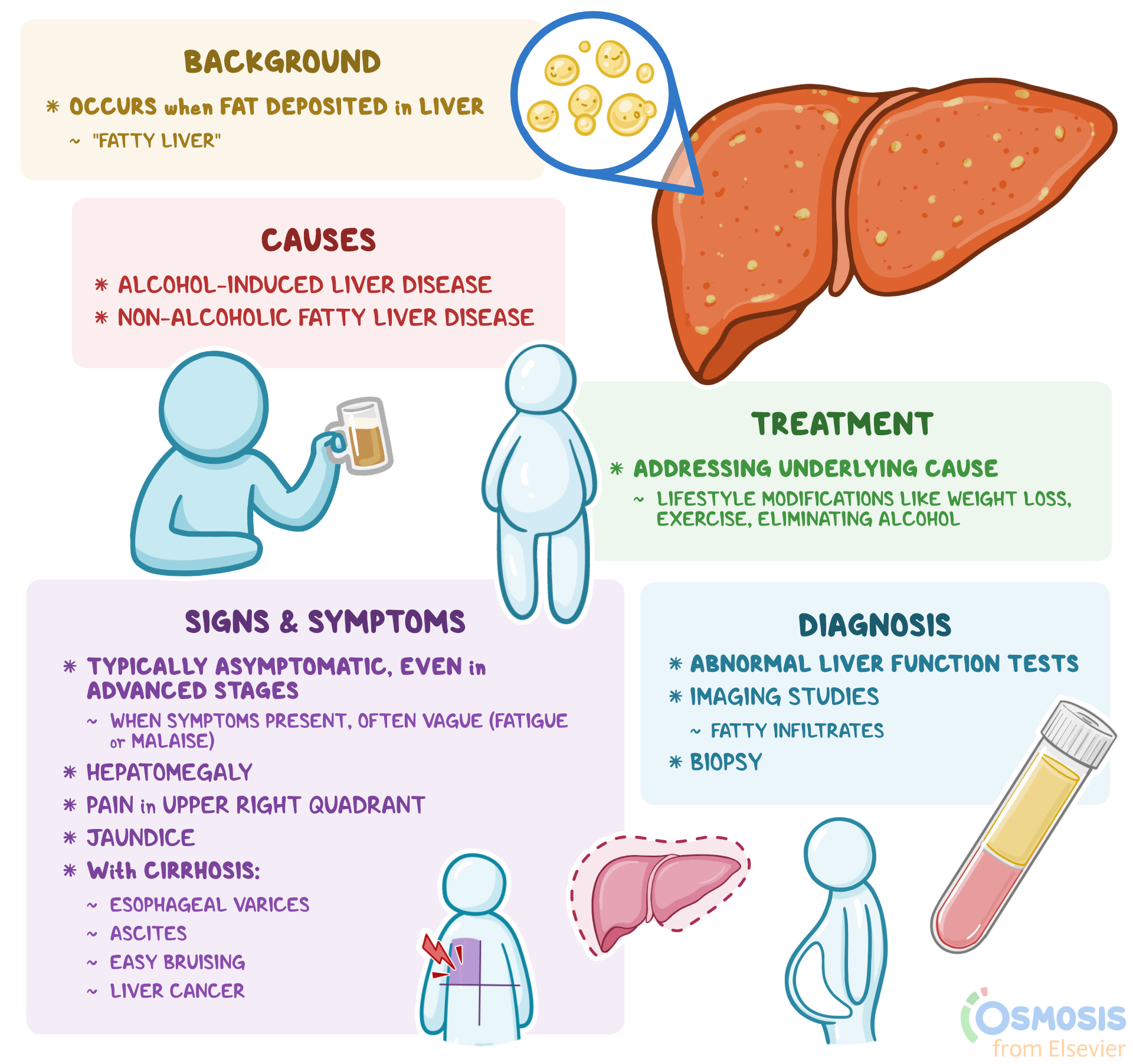 Liver Cirrhosis Nursing Care Plan Managementdocx Liver