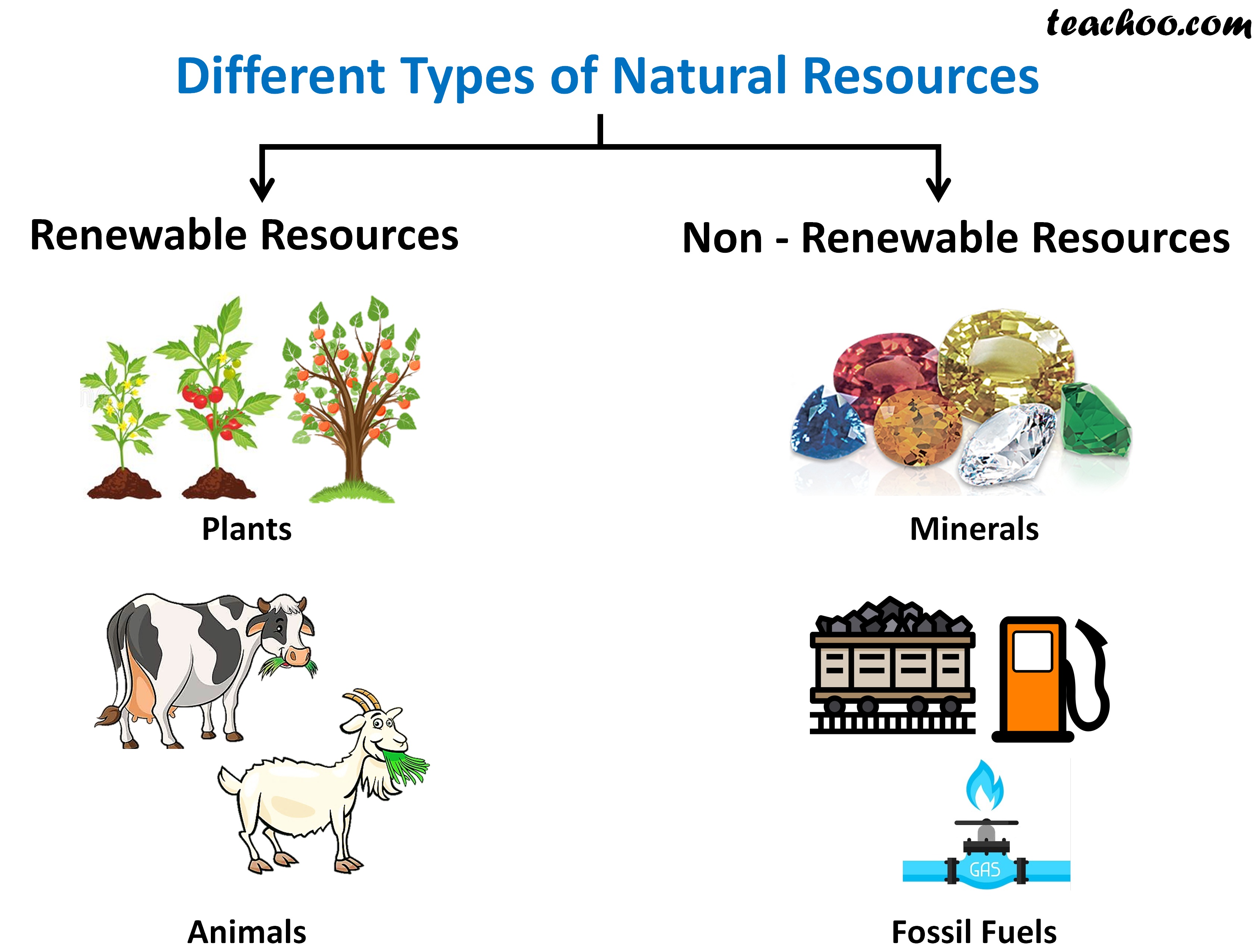 Natural Resources Kids