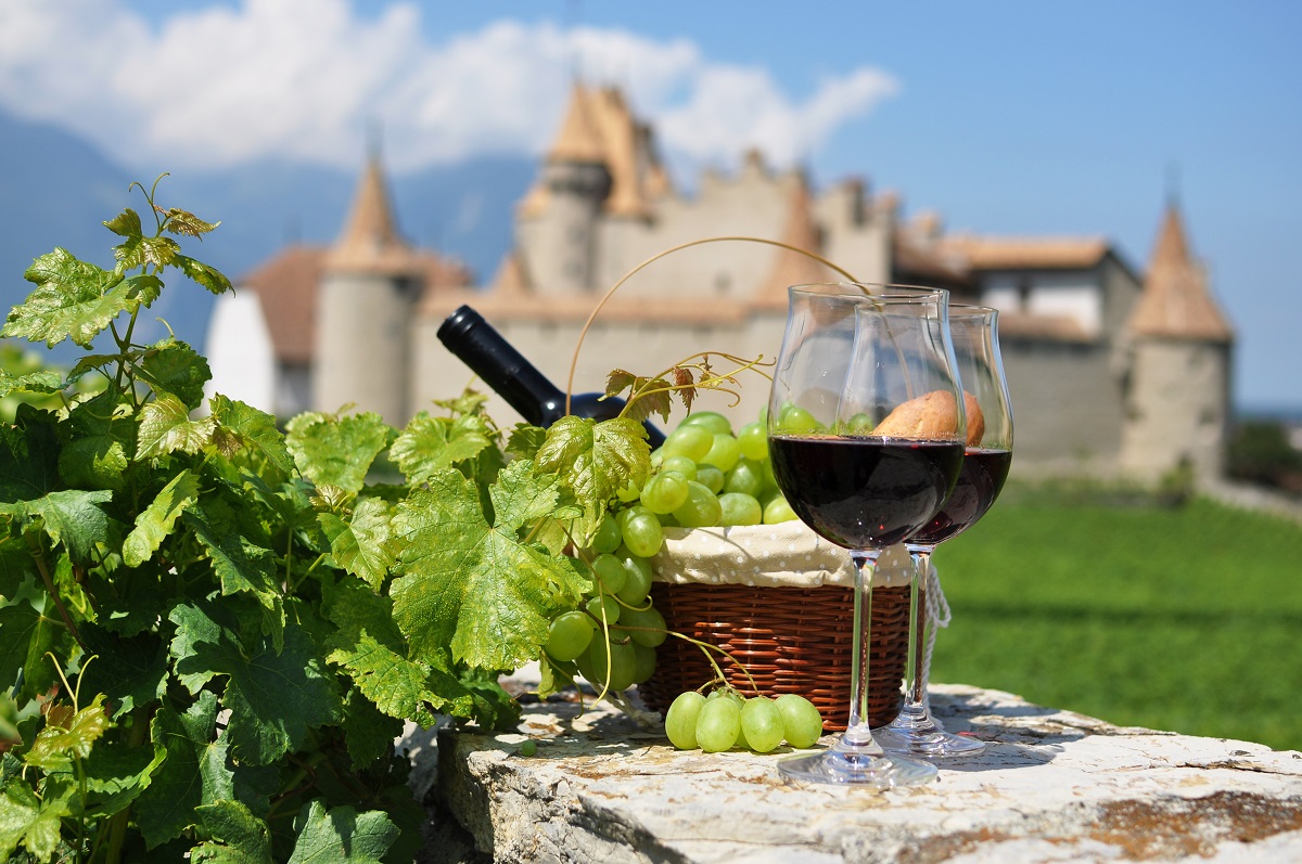 French Wine Vineyard