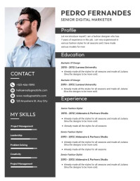 Creative Resume Template Flyer (US Letter)