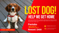 Lost Dog Ad Template Twitter Post