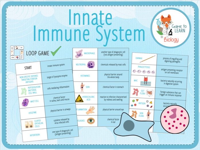 Innate Immune System - Loop Game (KS5)