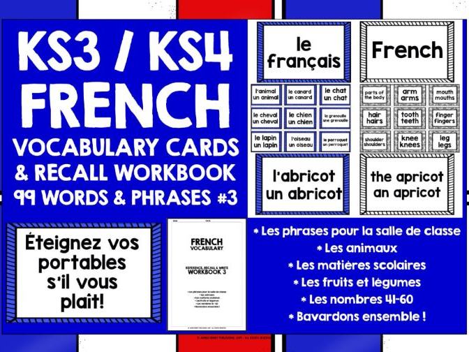 FRENCH VOCABULARY CARDS & WORKBOOK #3