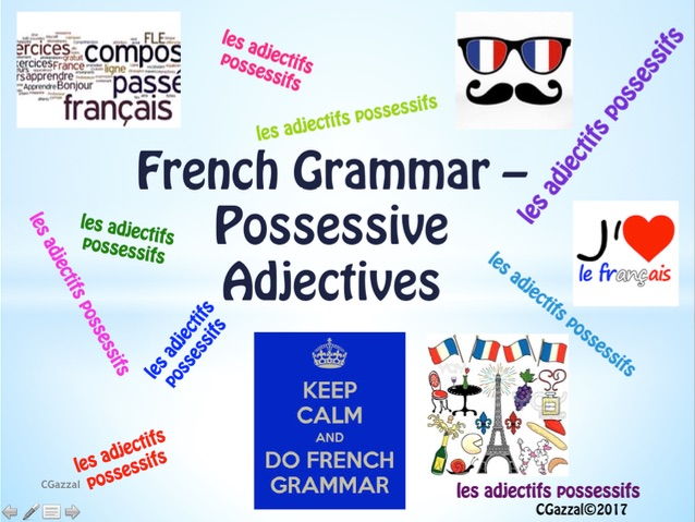 Possessive Adjectives French Worksheet