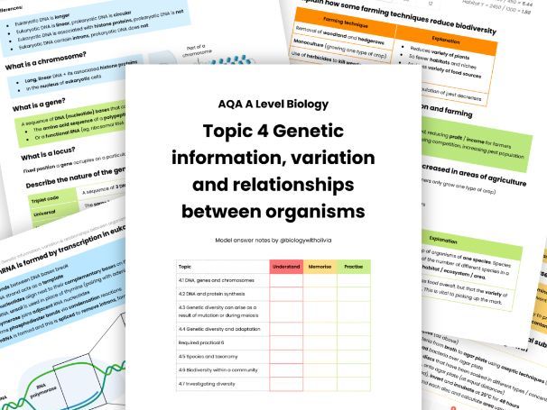 NEW Topic 4 Genetic info, variation & relationships model answer revision notes AQA A Level Biology