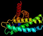 Oxygen Sensor Protein Offers Solution for Enhancing Nitrogen Fixation in Plants