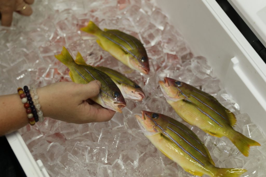 One Way To Counter The Ill Effects Of Hawaii’s Invasive Species: Eat Them