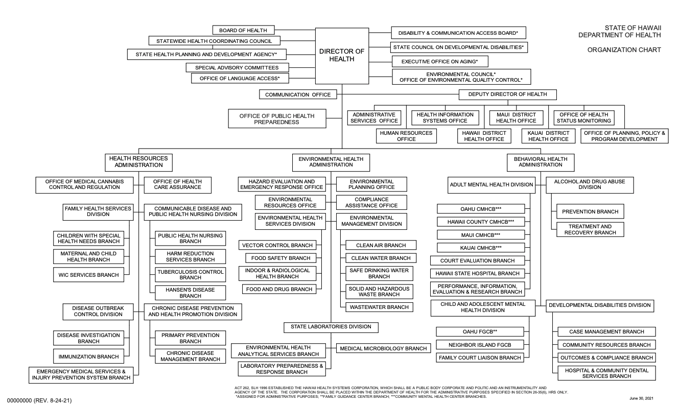 State Government Structure Chart