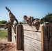 Basic Combat Trainees Complete Obstacle Course on Fort Sill