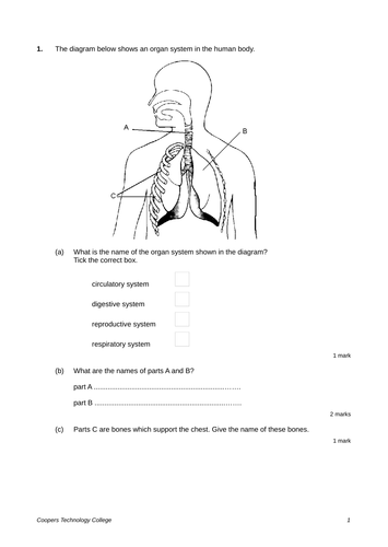 New Curriculum Scheme of Work for Year 7's on Exchange and Transport ...