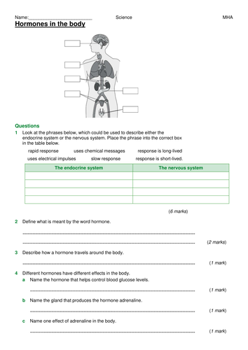 KS4 B11.1 principles of hormone control | Teaching Resources