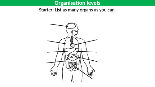 Organisation of Multicellular Organisms | Teaching Resources