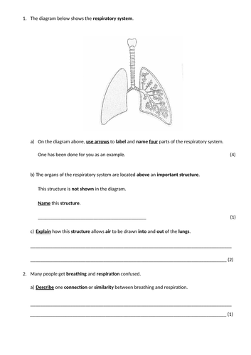 Year 8 Breathing and Respiration lessons (8C Exploring science ...