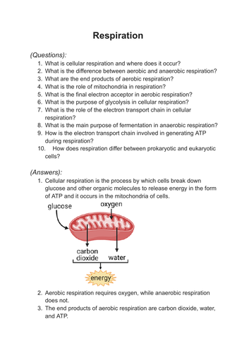 CONCISE A* A Level Biology Topic 5 Photosynthesis, Respiration & Energy ...