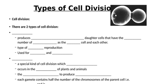 A-Level AQA Biology - Mitosis Bundle | Teaching Resources image.