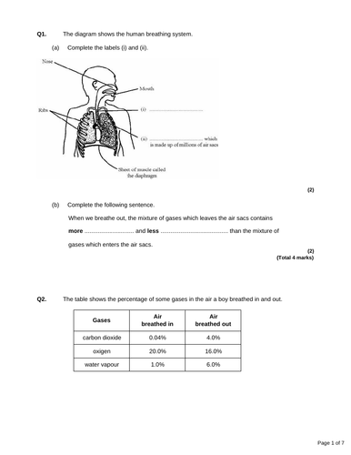 B4.5 Breathing and gas exchange | Teaching Resources