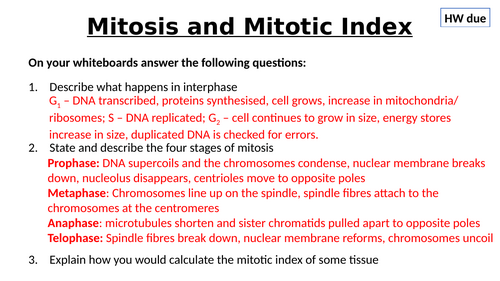 A-Level AQA Biology - Mitosis Bundle | Teaching Resources