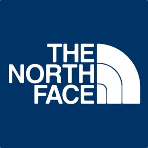 the north face logo