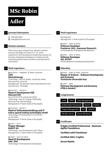 COO Resume Example