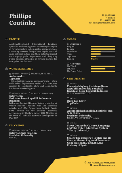 Business Analyst CV Example