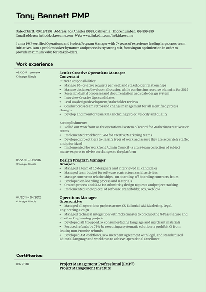 Senior Creative Operations Manager CV Example