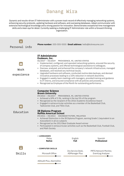 IT Administrator Resume Example