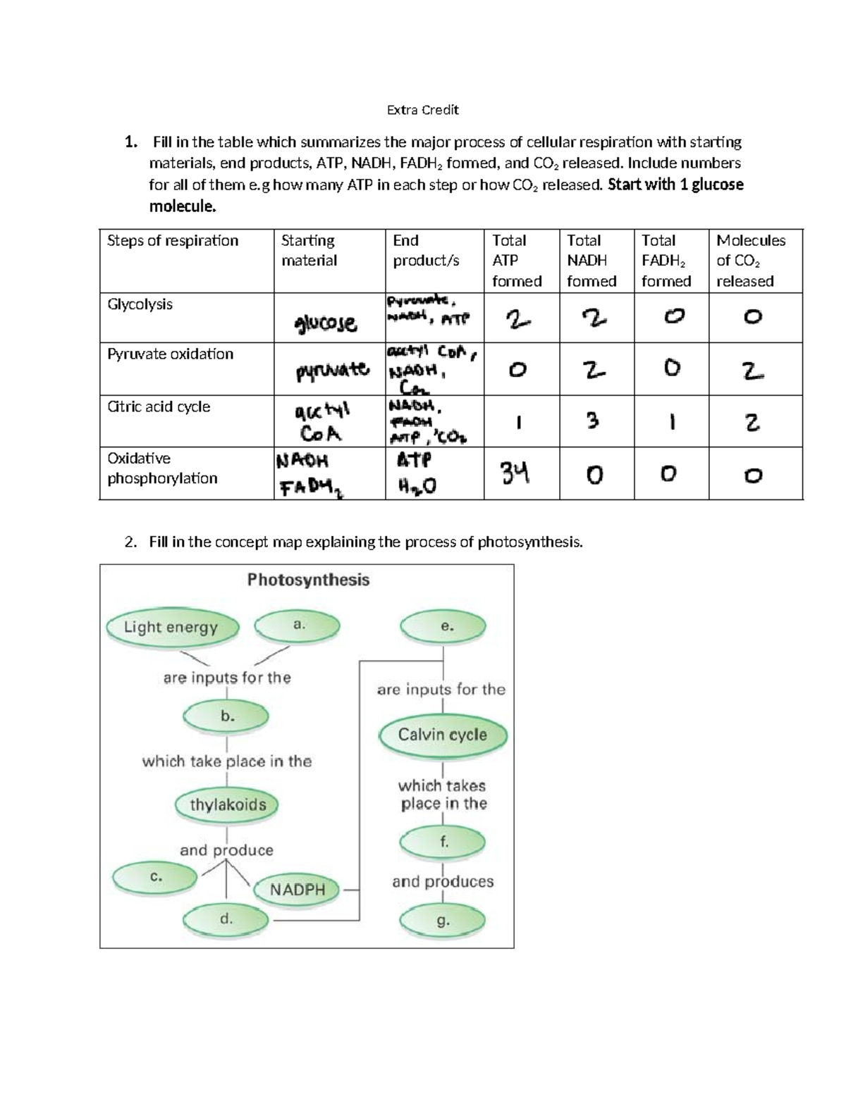 Extra+credit+-+Biol+3510+ copy - Extra Credit 1. Fill in the table ...