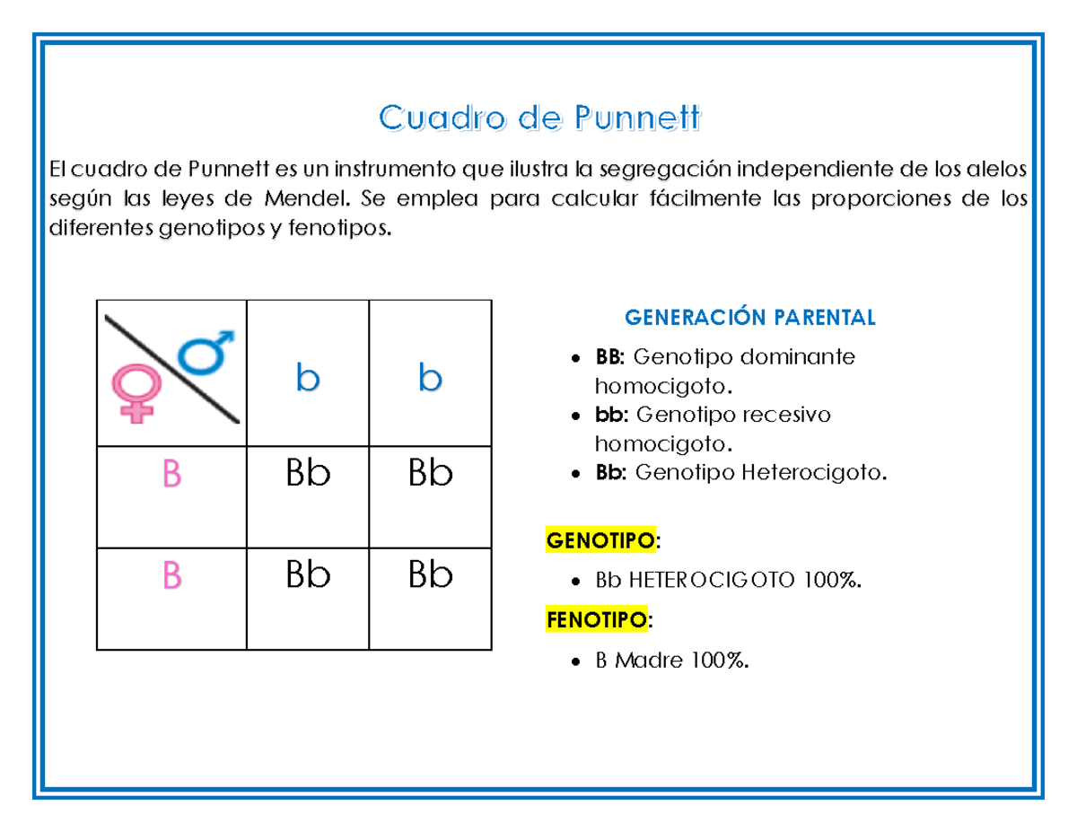 Cuadro de Punnett - tarea - El cuadro de Punnett es un instrumento que ...