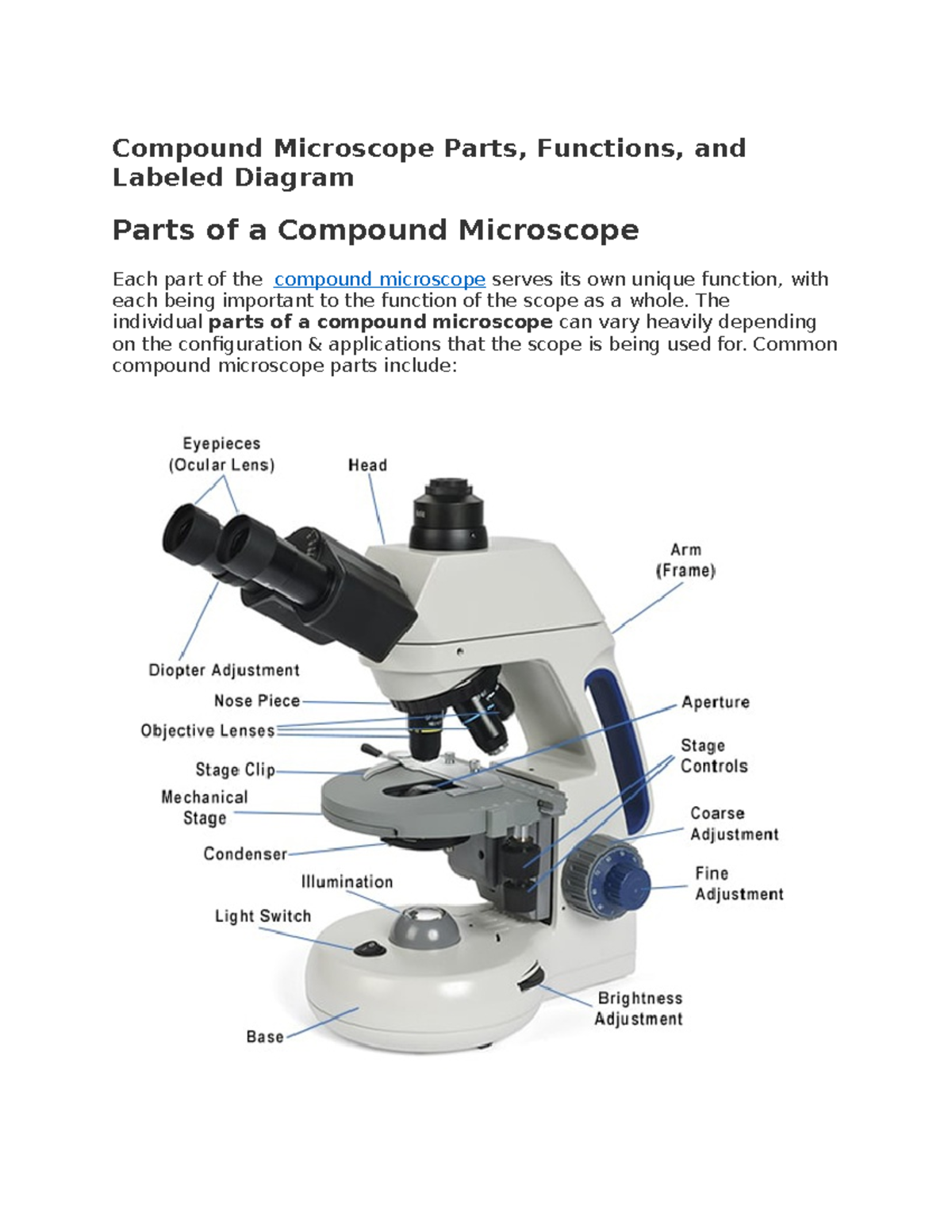 The Parts Of A Compound Microscope And How To Handle - vrogue.co