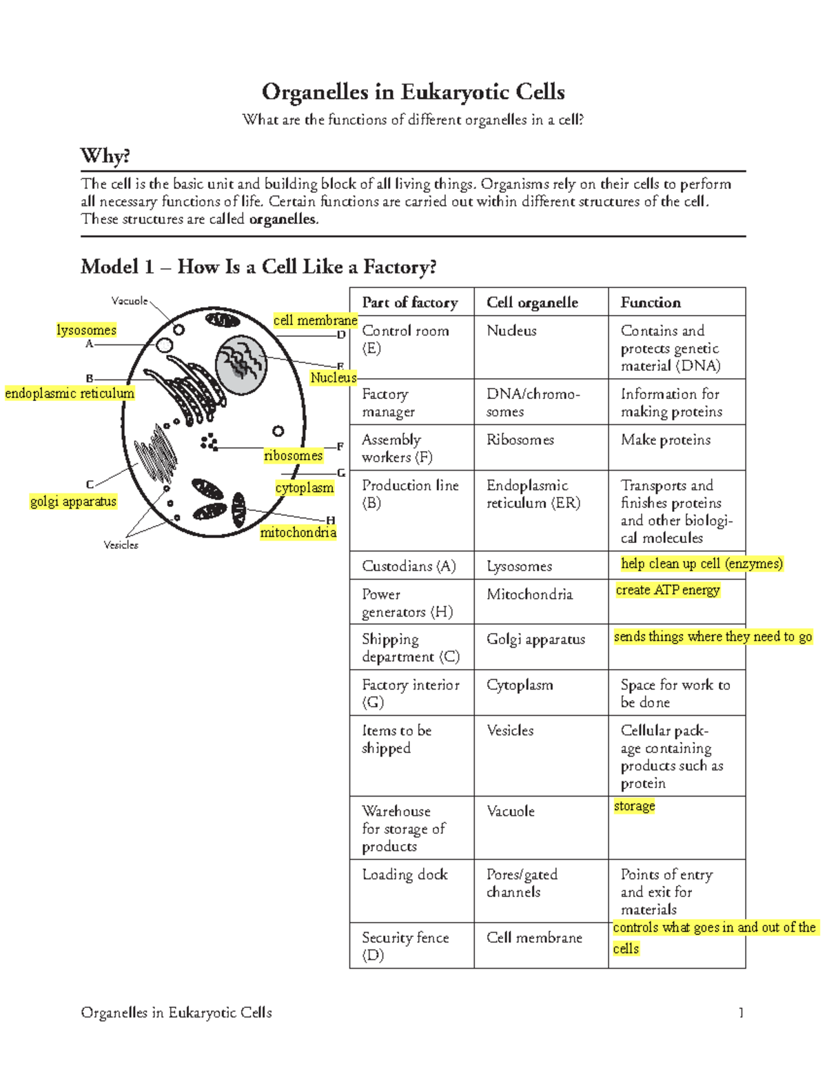 Eukaryotic Cell Structure Worksheet