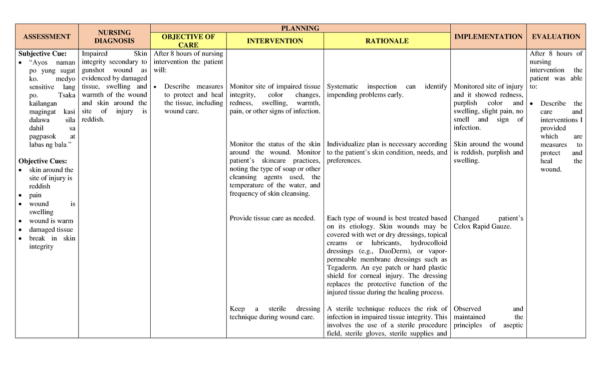 Ncp Impaired Skin Integrity Assessment Nursing Diagnosis Planning ...