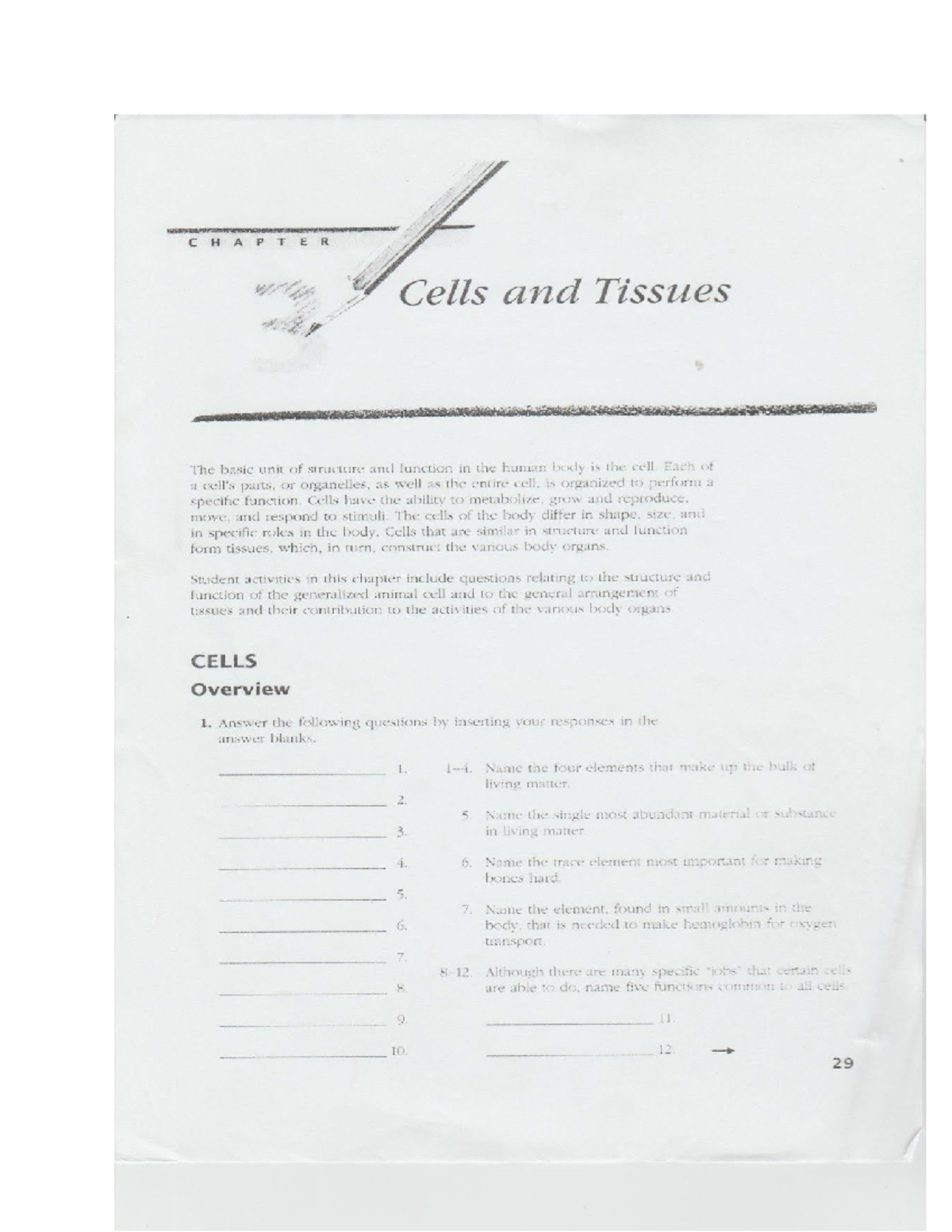 Chapter+3+Packet - Vyvuvuvv - BIOL 211 - Studocu image.