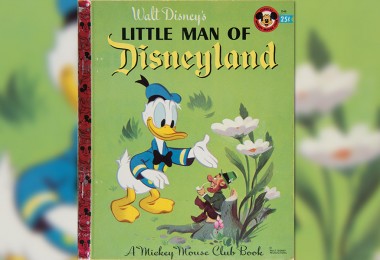 The Little Man of Disneyland Book Cover