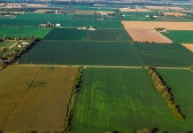 aerial farmland