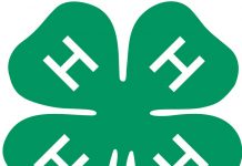 4-H-logo