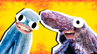 Octopus Jokes Thumbnail