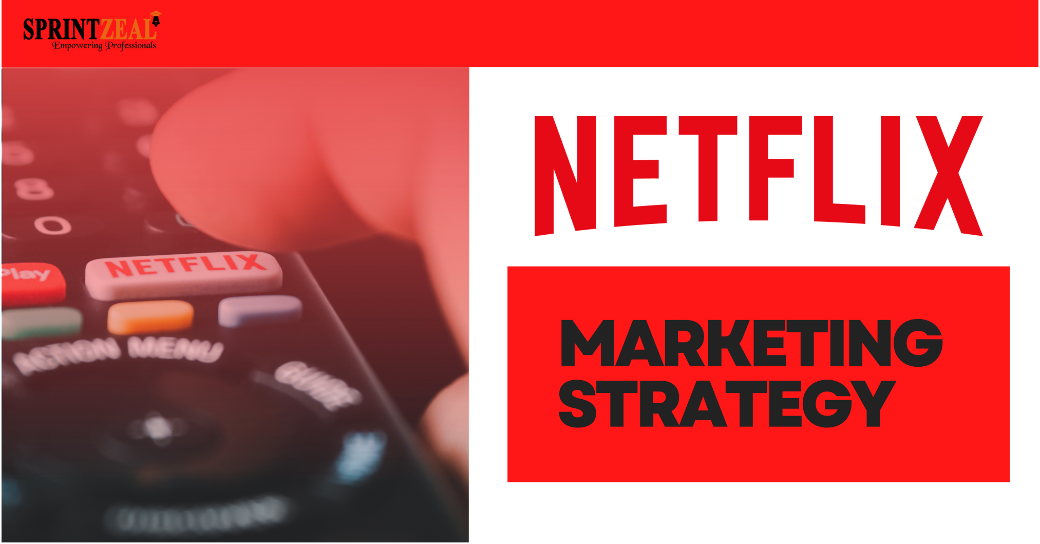 Netflix marketing strategy- An overview on marketing tactics of Netflix