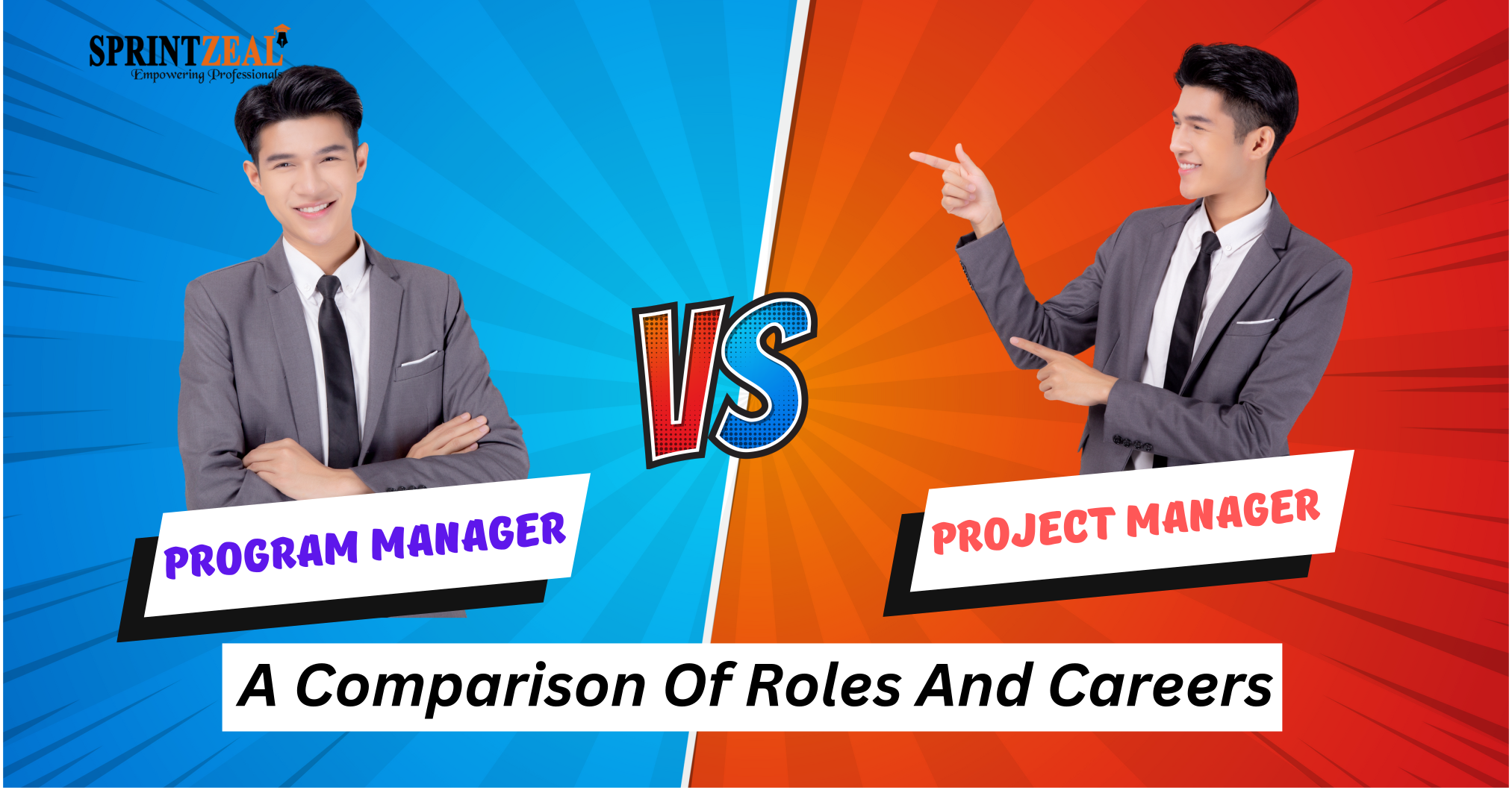 Program Manager vs Project Manager - Comparison of Roles and Careers