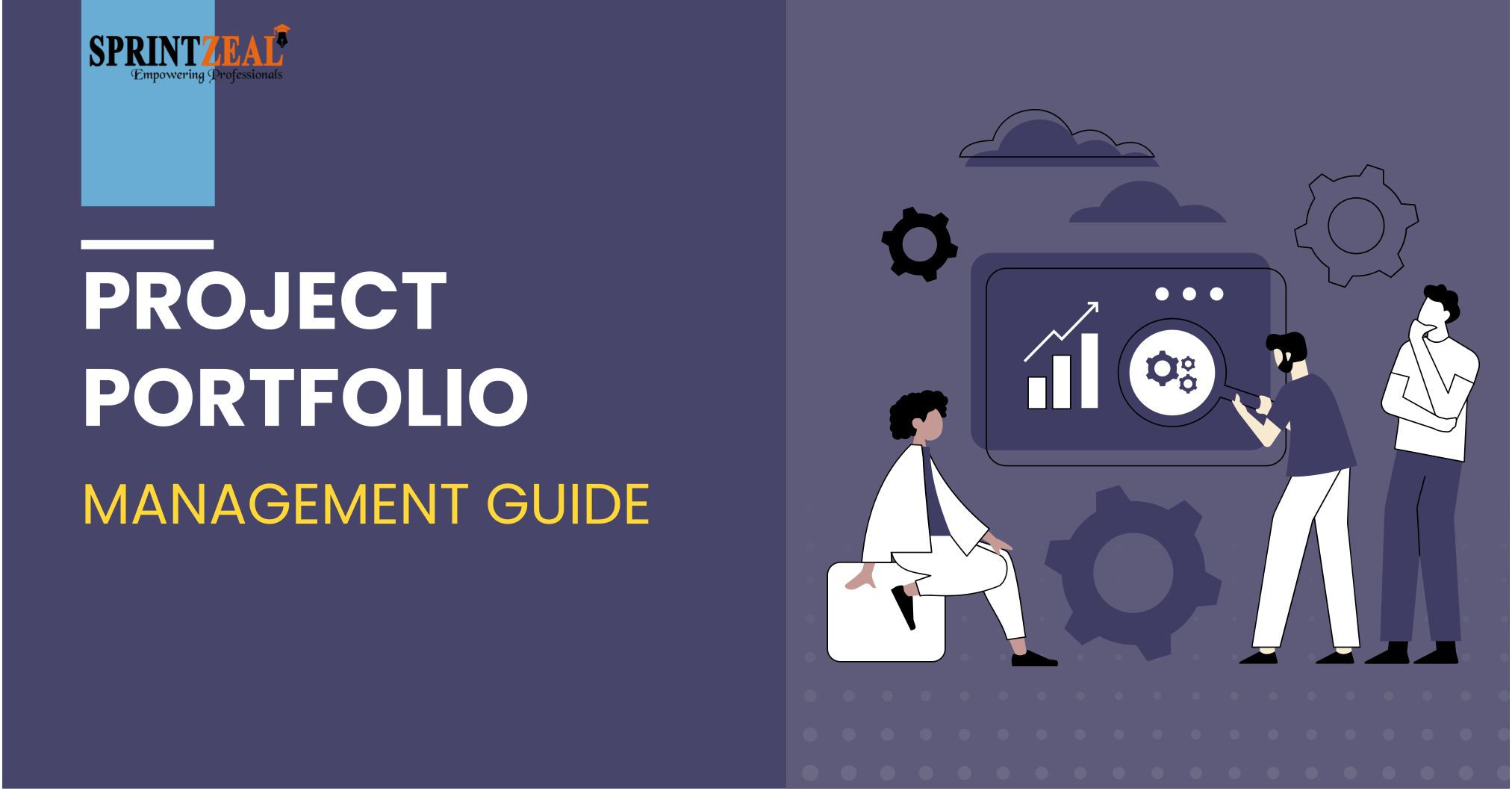 Project Portfolio Management Guide