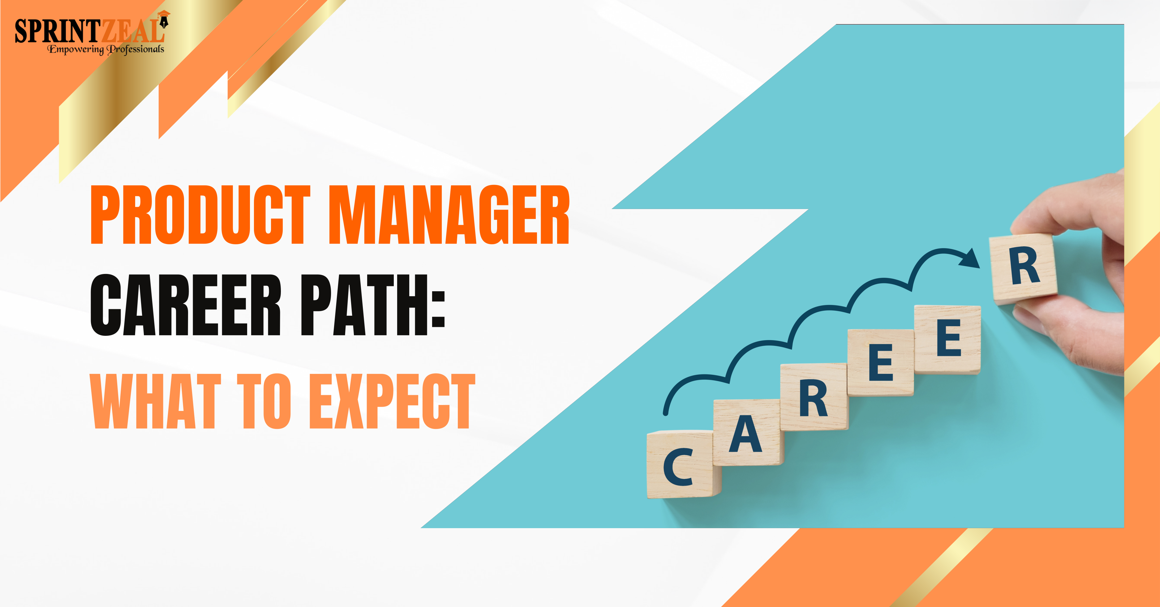 Product Manager Career Path: What to Expect