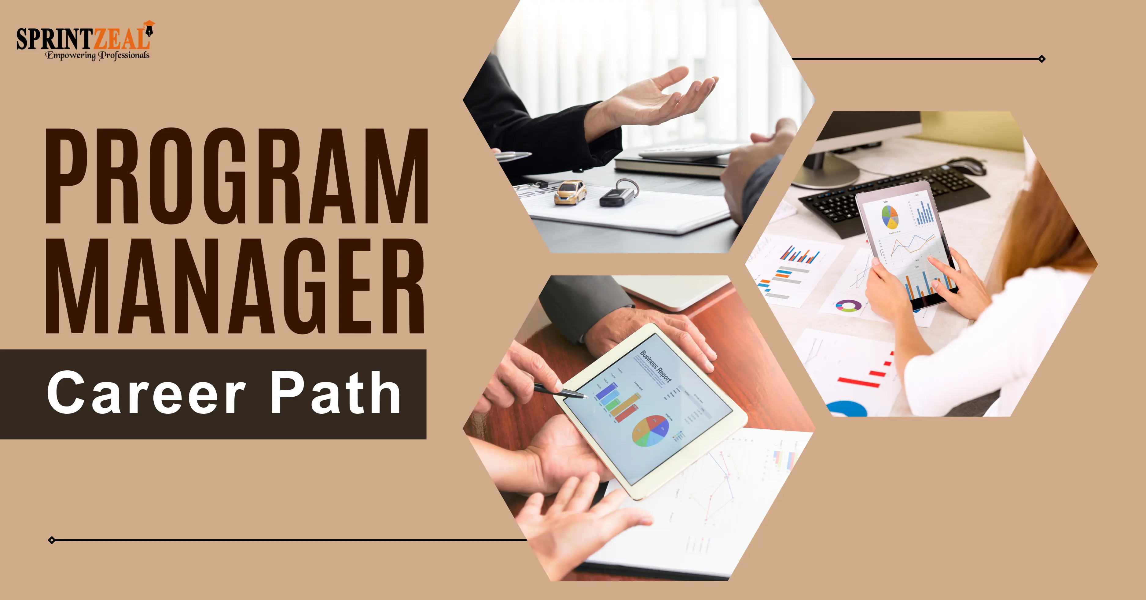 Career Path for Program Manager - Strategic Navigation for Professional Growth