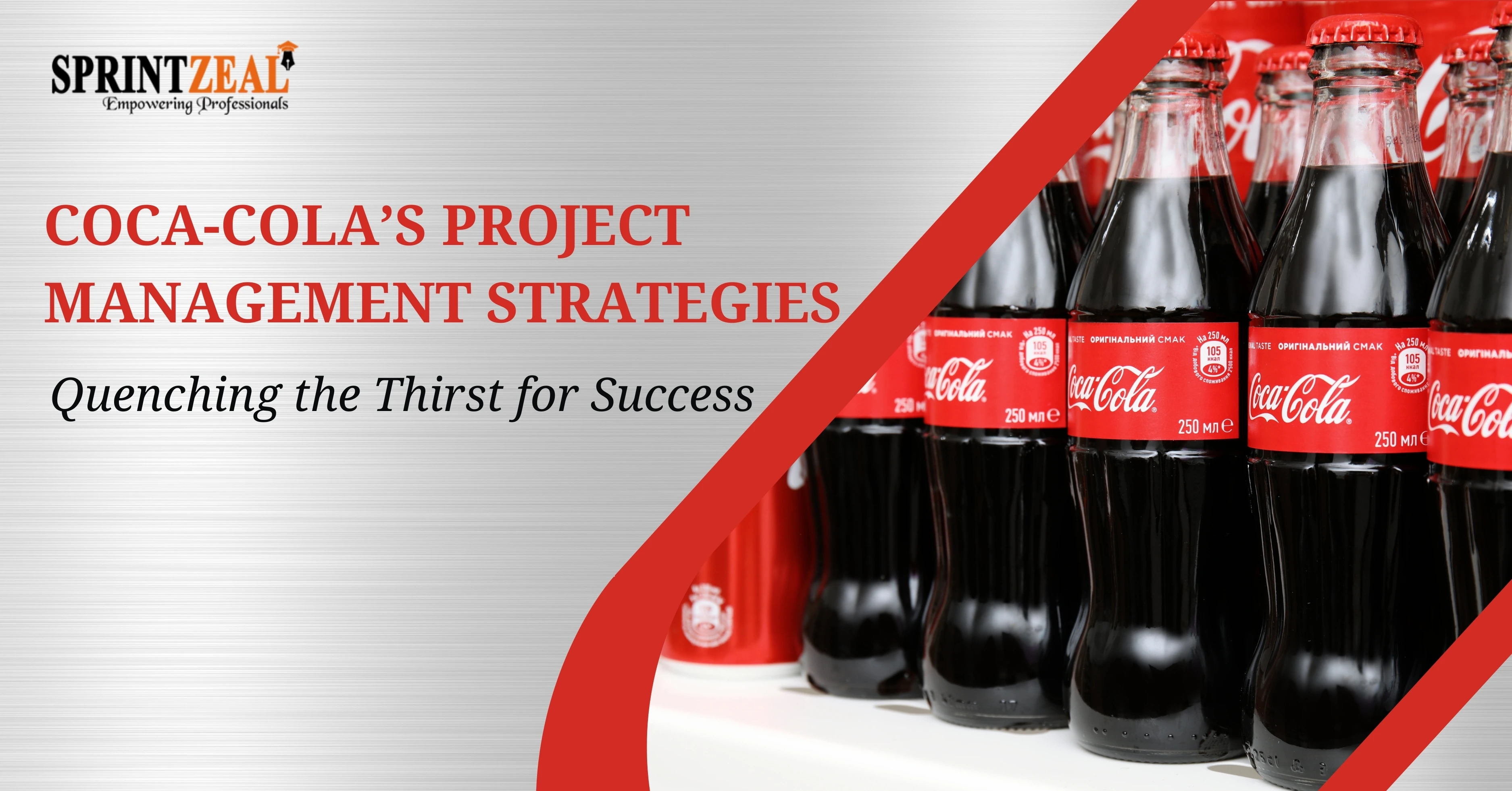 Coca-Cola Project Management Strategy and Key Insights