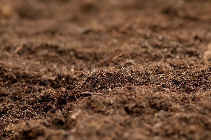 Close up of soil - can be used as background | Stock image | Colourbox