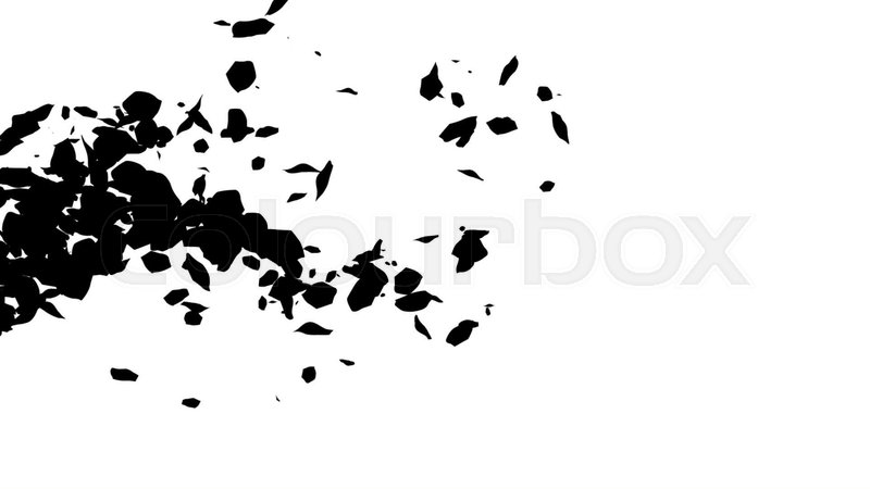 Flower Petals Falling On White Stock Video Colourbox