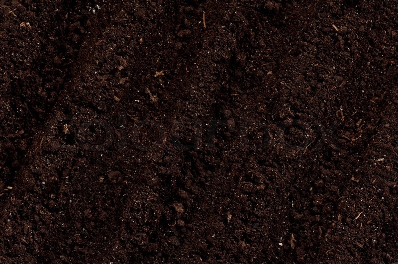 Soil background | Stock image | Colourbox