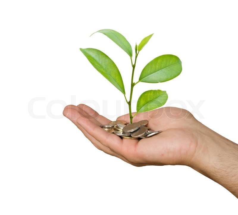 Tree Growing In Hand