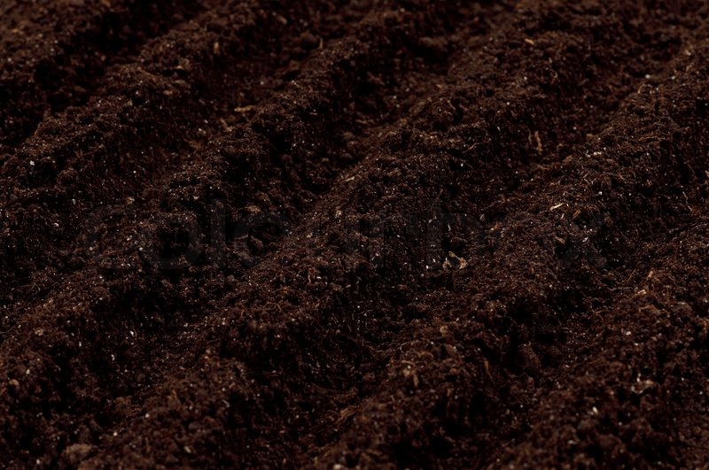 Soil background | Stock image | Colourbox